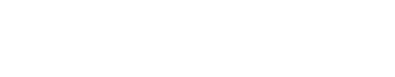 logo Skyfoxu